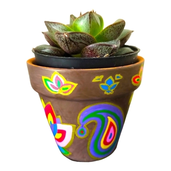🎨Made to order🖌 Hand Painted Little Terracotta Pot/ Planter/ Vase - Picture 6 of 14